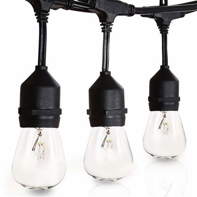 Festoon Garland Licht LED klare Glühbirnen Gürtel Lichter Niederspannungsbeleuchtung Strang